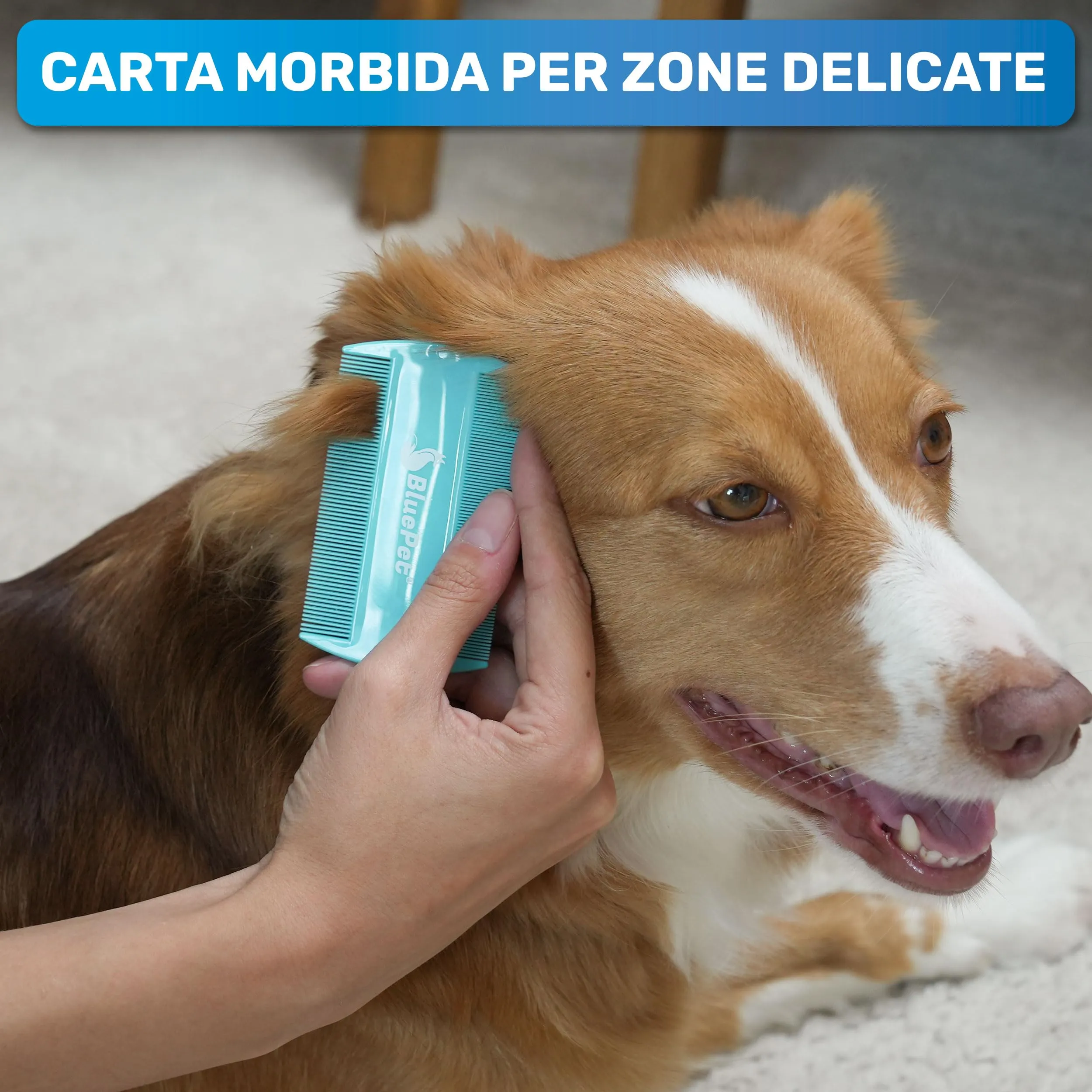 BluePet Pettine Antipulci scheda antipulci, Anti Pidocchi, Rimuovere Pulci - immagine 5