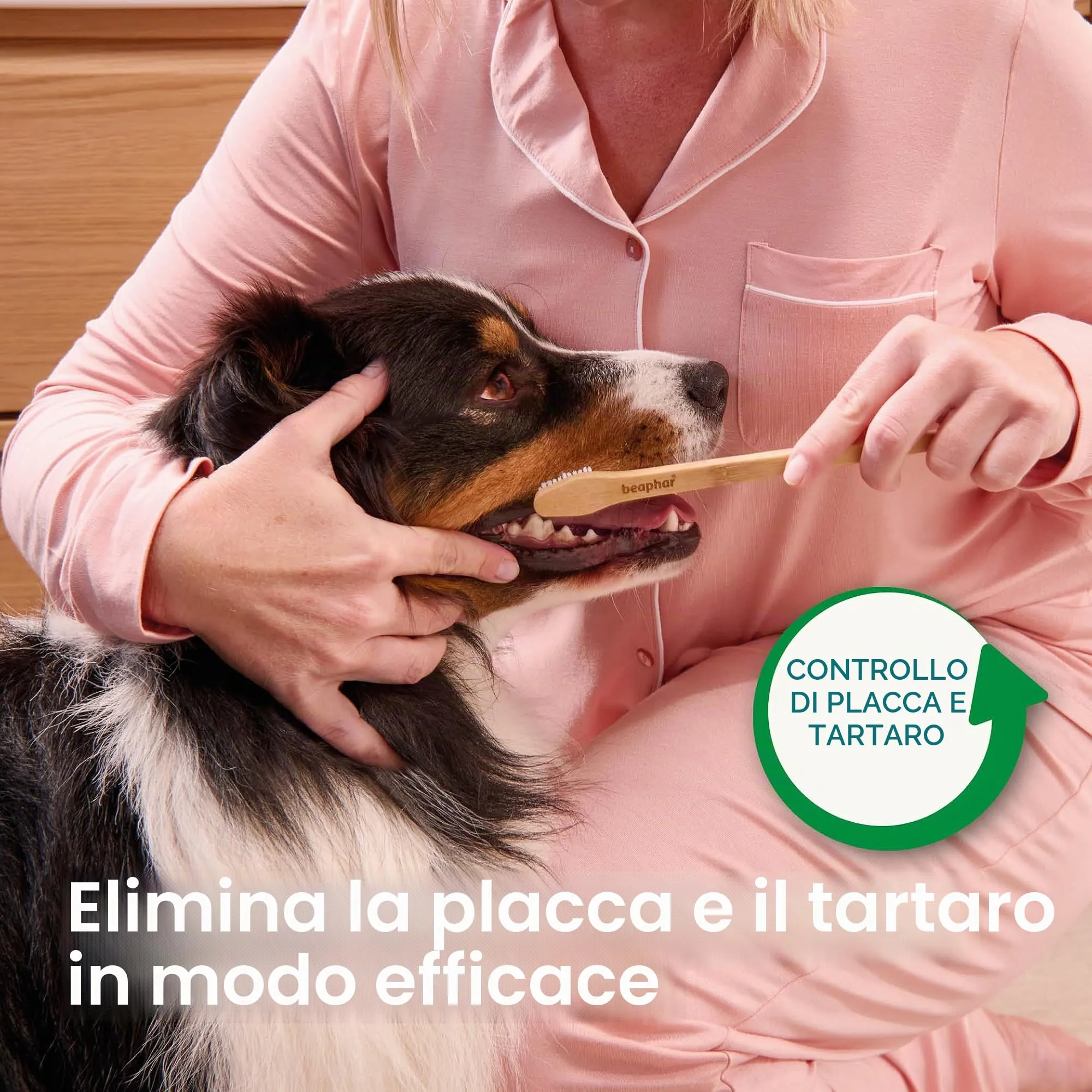Beaphar - Spazzola ecologica in bambù - Pulizia profonda - per cani e gatti - immagine 4