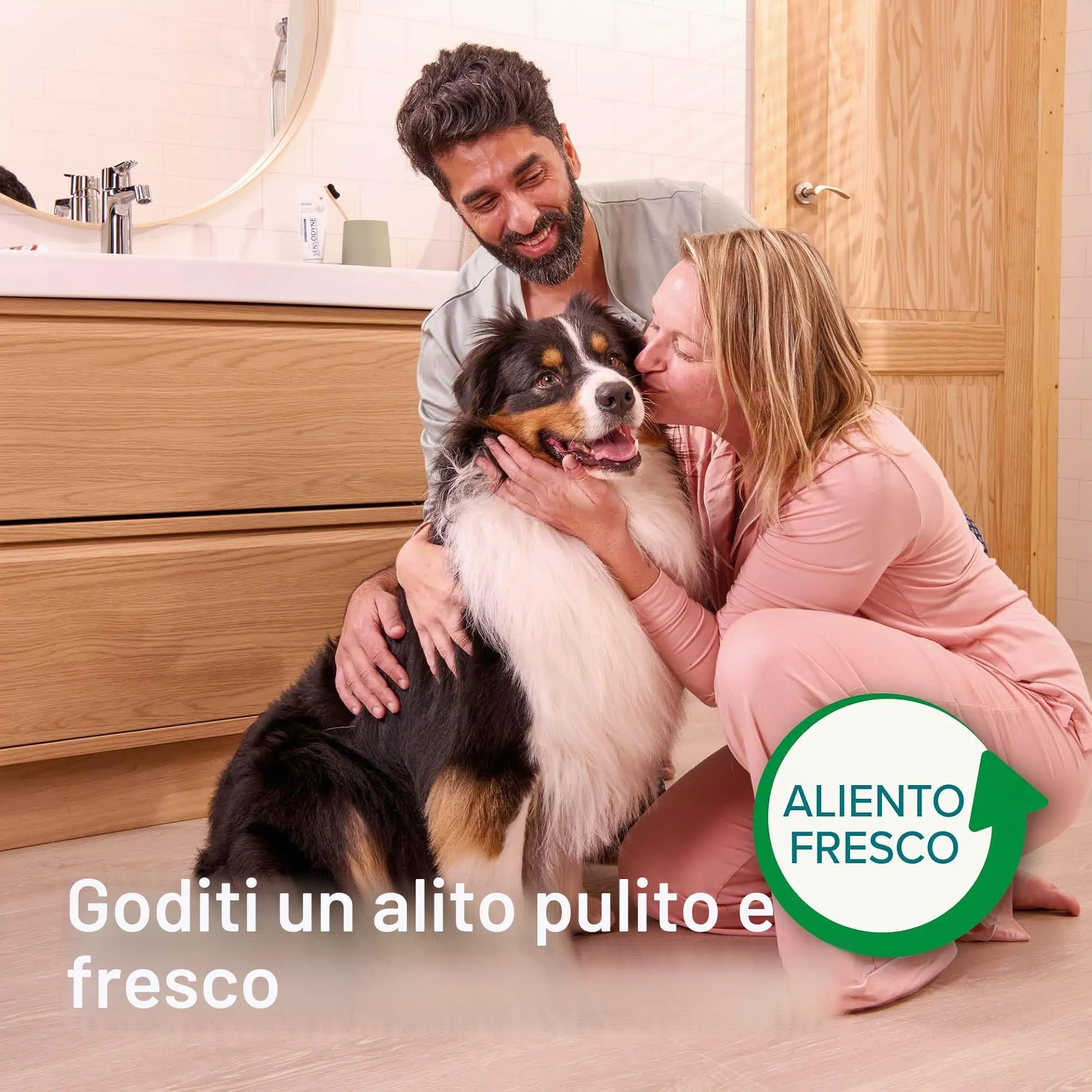 Beaphar - Spazzola ecologica in bambù - Pulizia profonda - per cani e gatti - immagine 5