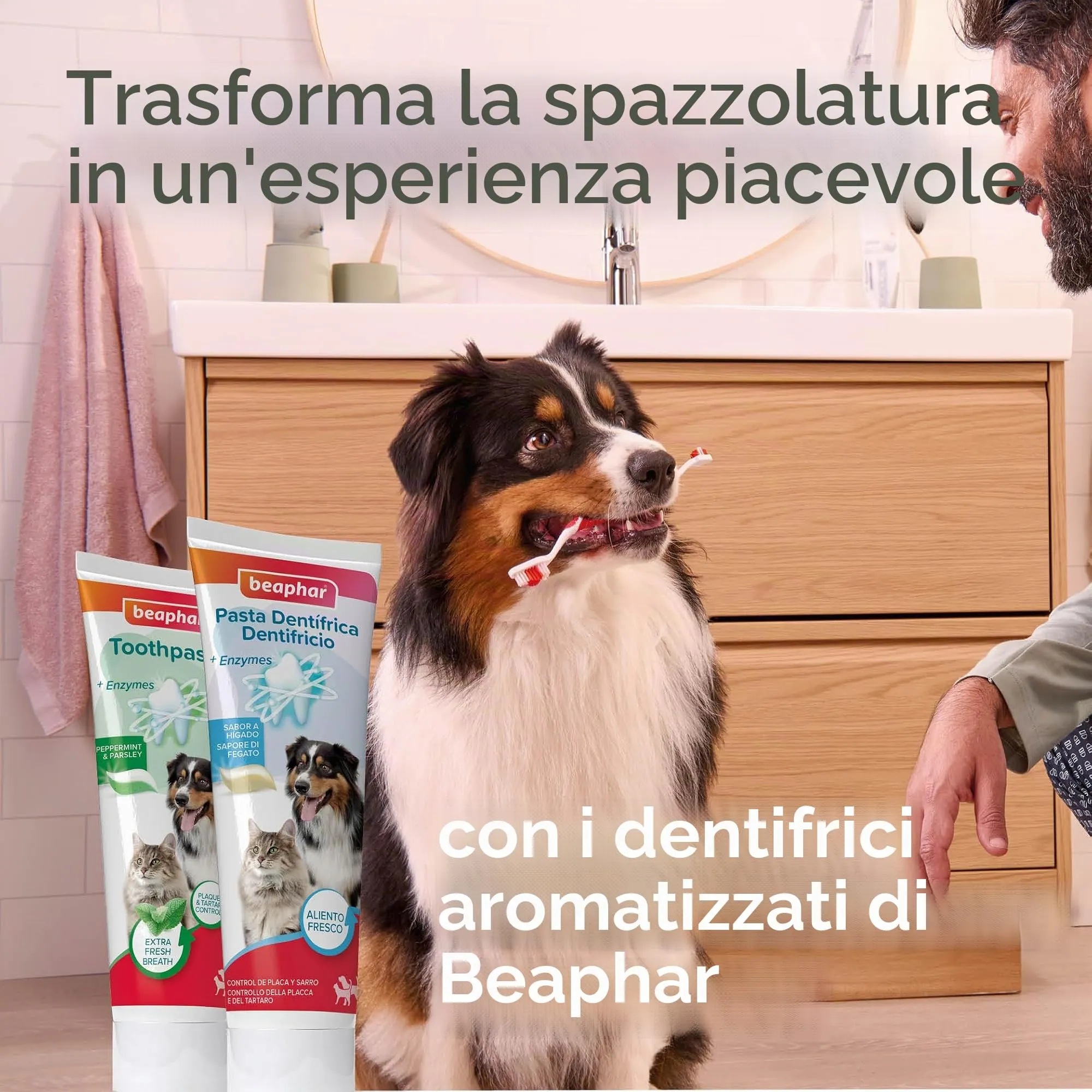 Beaphar - Spazzola ecologica in bambù - Pulizia profonda - per cani e gatti - immagine 6