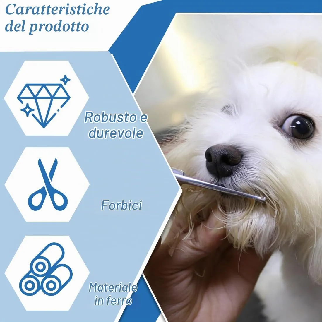 LACHT Forbici Da Toelettatura Per Animali Domestici, Con Punta Rotonda Di Sicurezza, Forbice Curve Per Cani, In Acciaio Inox Forbici Professionali Per La Toelettatura Di Cani Gatti (A) - immagine 4