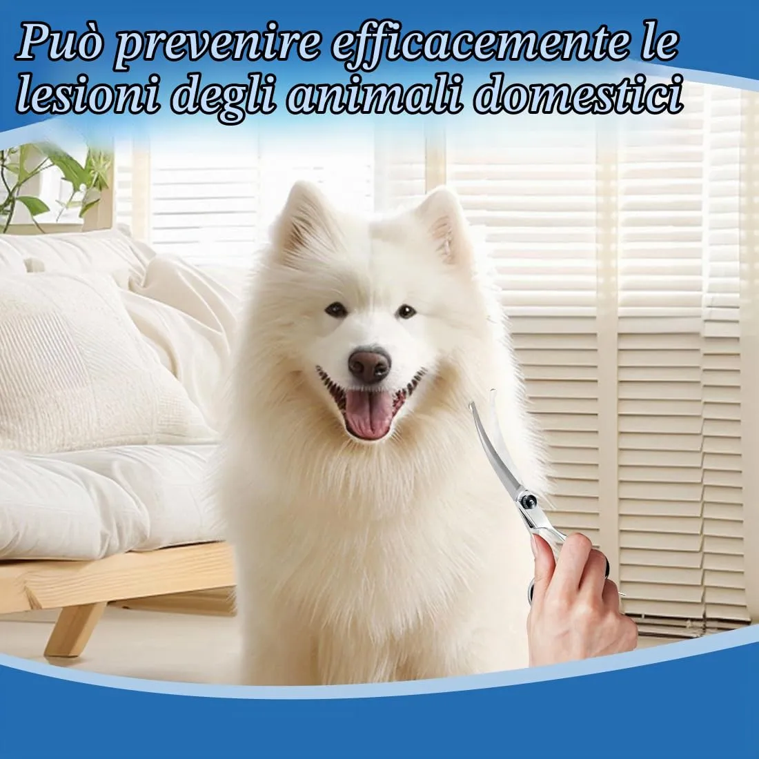 LACHT Forbici Da Toelettatura Per Animali Domestici, Con Punta Rotonda Di Sicurezza, Forbice Curve Per Cani, In Acciaio Inox Forbici Professionali Per La Toelettatura Di Cani Gatti (A) - immagine 5