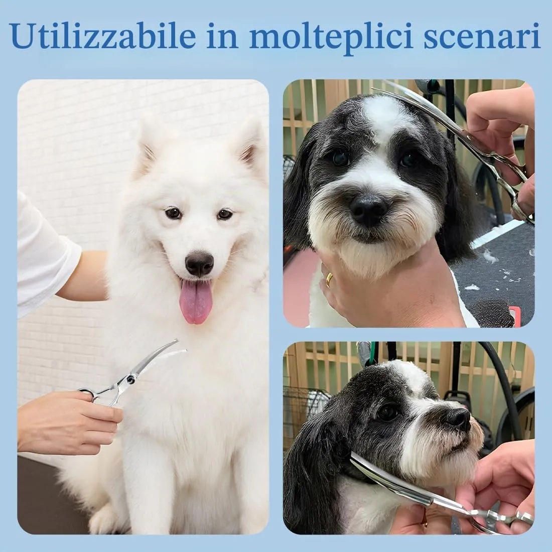 LACHT Forbici Da Toelettatura Per Animali Domestici, Con Punta Rotonda Di Sicurezza, Forbice Curve Per Cani, In Acciaio Inox Forbici Professionali Per La Toelettatura Di Cani Gatti (A) - immagine 6