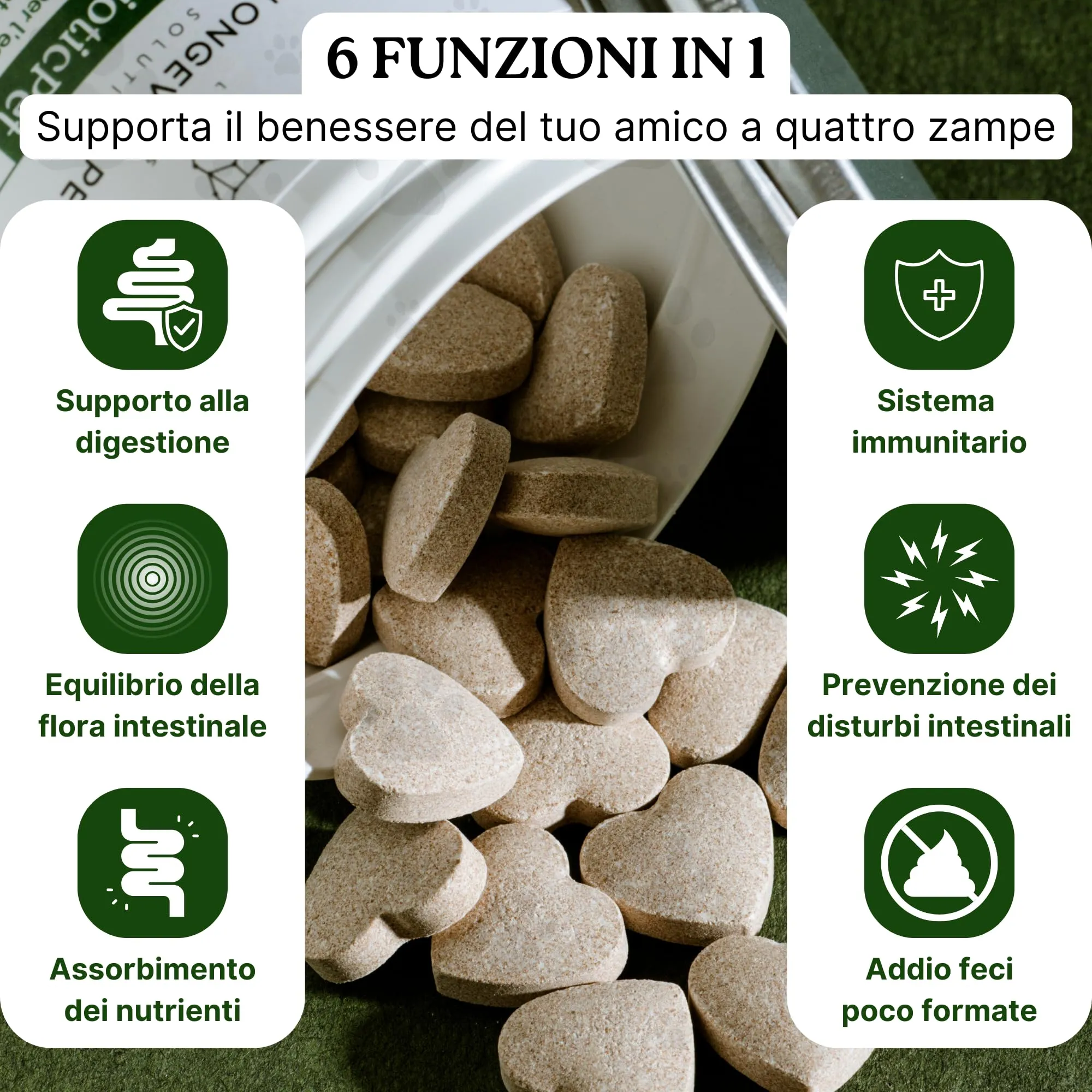 Soluzione Prurito | DermaPet Integratore Dermatite per Cute Cani e Gatti + ProbioticPet Cane 30 Cpr per Dermatite, Digestione | Integratore Prurito Cani e Gatti - Longevity Pet - immagine 5