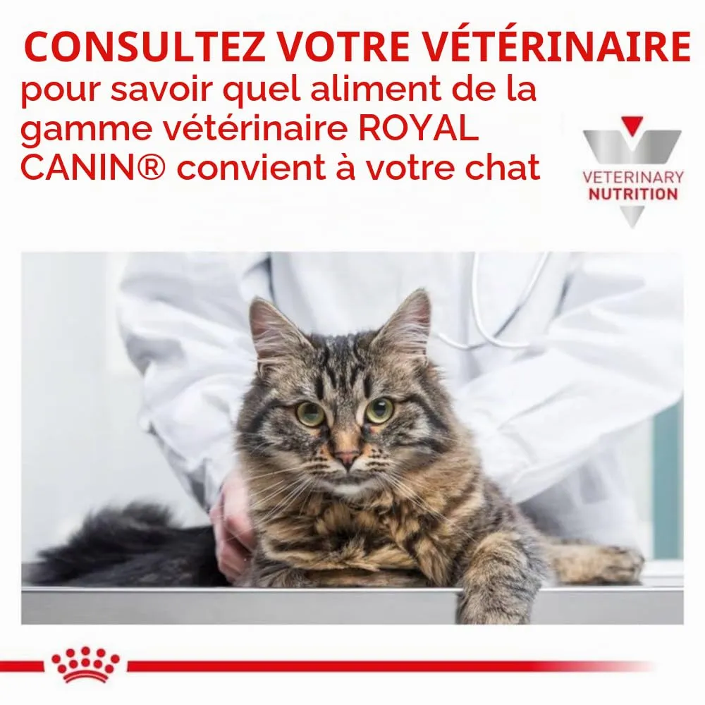 ROYAL CANIN Veterinary MOBILITY | 400 g | Alimento secco per gatti | Alimento completo per gatti adulti con problemi articolari | Per sostenere la funzione articolare - immagine 3