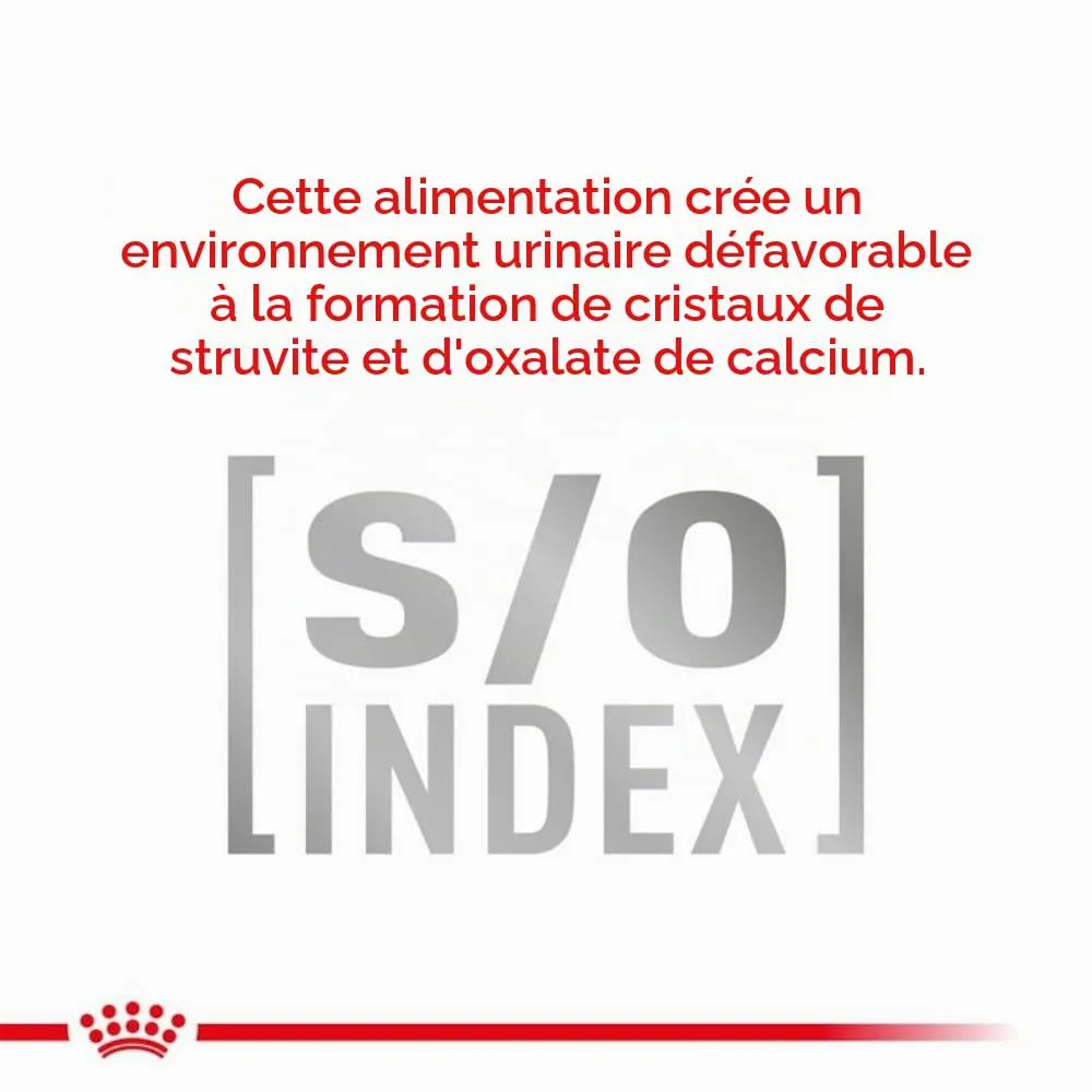 ROYAL CANIN Veterinary MOBILITY | 400 g | Alimento secco per gatti | Alimento completo per gatti adulti con problemi articolari | Per sostenere la funzione articolare - immagine 5