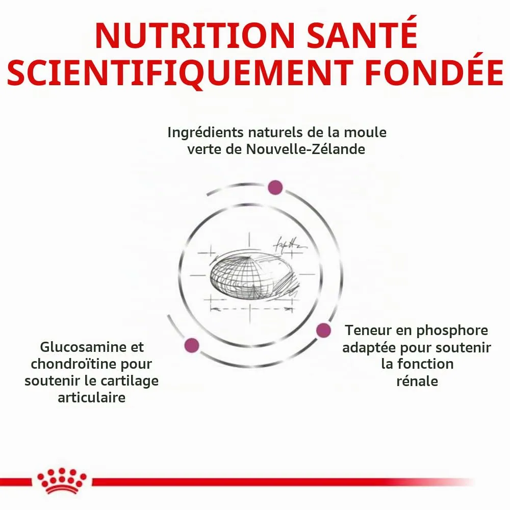 ROYAL CANIN Veterinary MOBILITY | 400 g | Alimento secco per gatti | Alimento completo per gatti adulti con problemi articolari | Per sostenere la funzione articolare - immagine 7