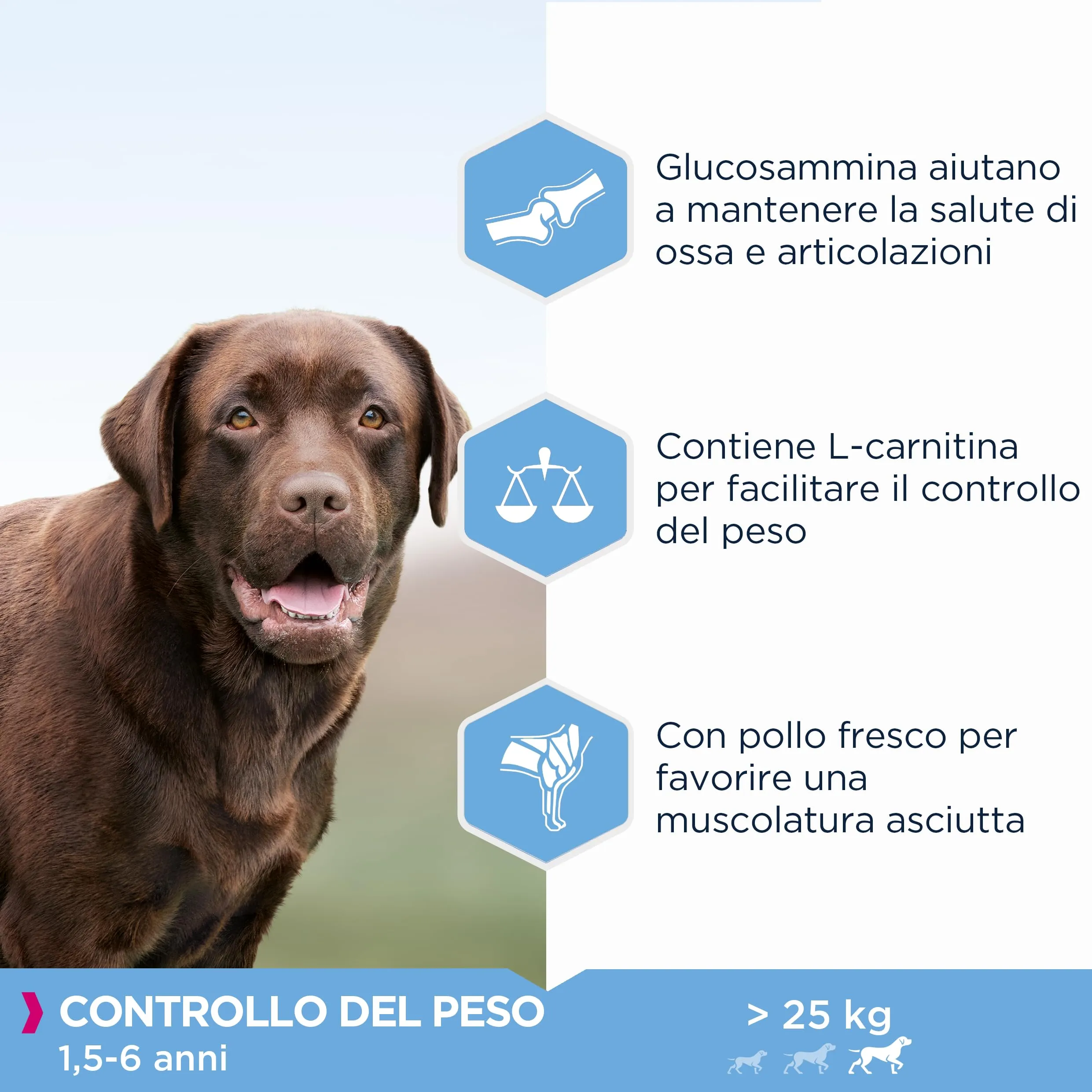 Eukanuba Daily Care Weight Control per cani di taglia grande - Cibo secco a basso contenuto di grassi per il mantenimento del peso o per diete in caso di sovrappeso, 15 kg - immagine 3