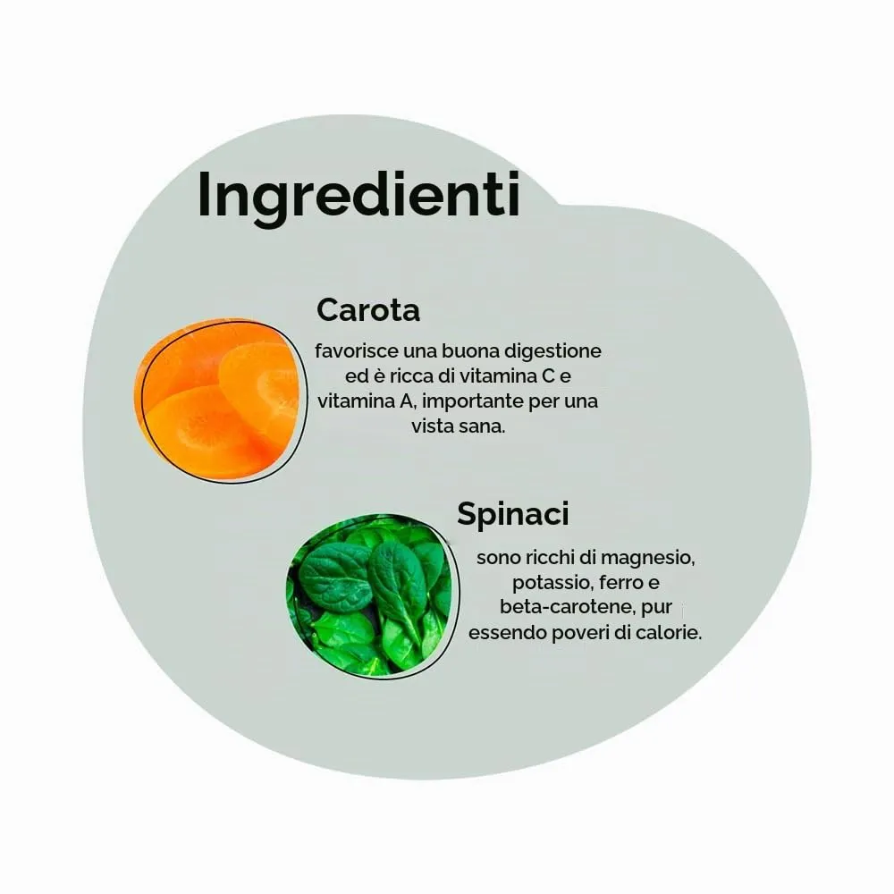 GRAU - l'originale - Verdure disidratate per BARFing - per cani - Mix di verdure n. 3 (1 x 1,2 kg) - immagine 4