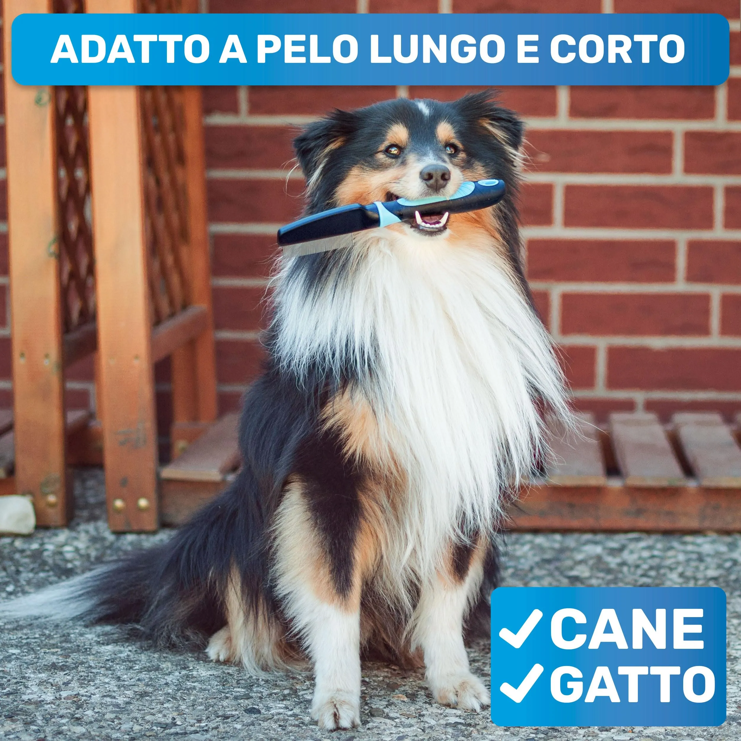 BluePet Pettine Antipulci Anti Pidocchi, Districante, Rimuovere Pulci - immagine 5
