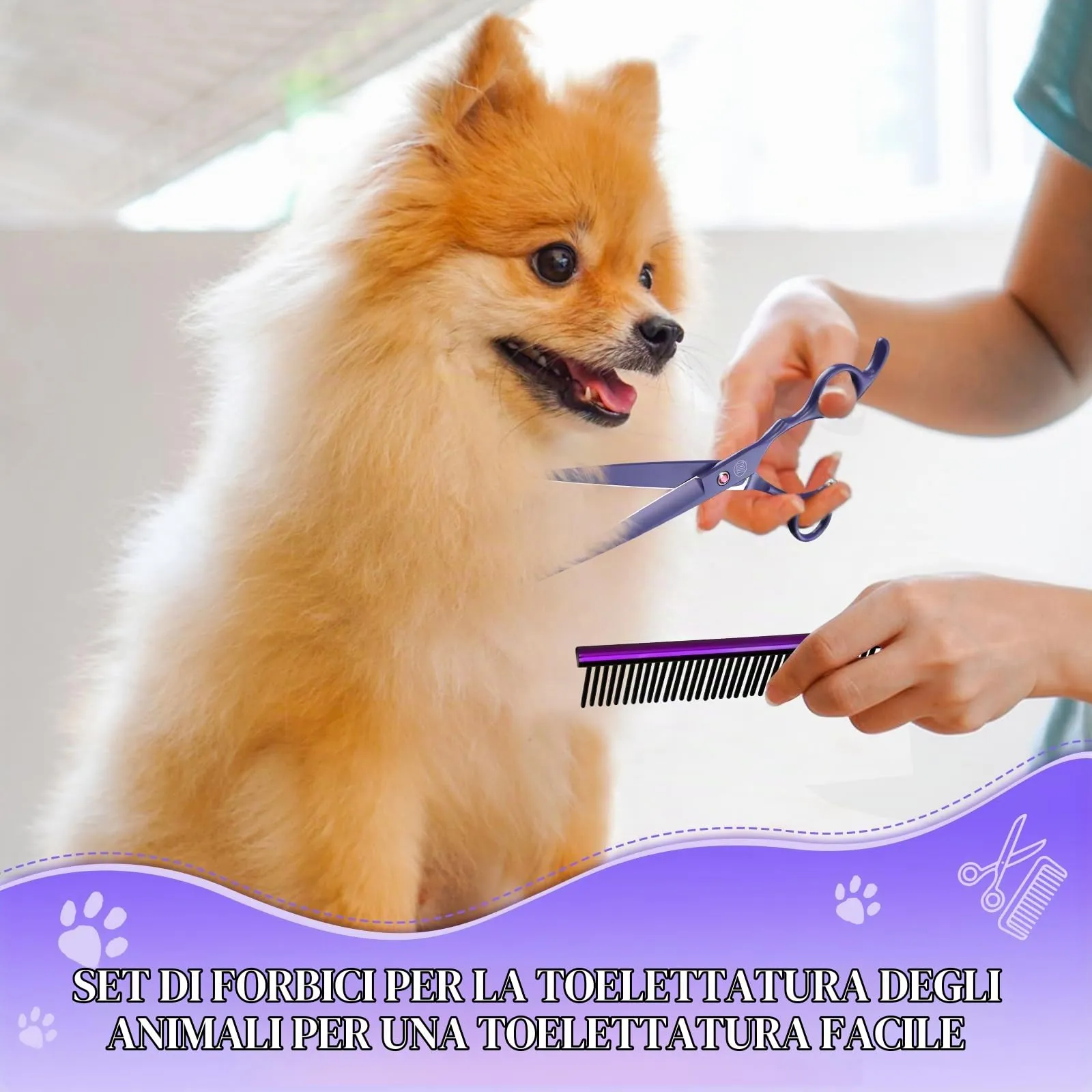 Moontay 8 In 1 Set Forbici Toelettatura Cani Professionali, Viola - immagine 2