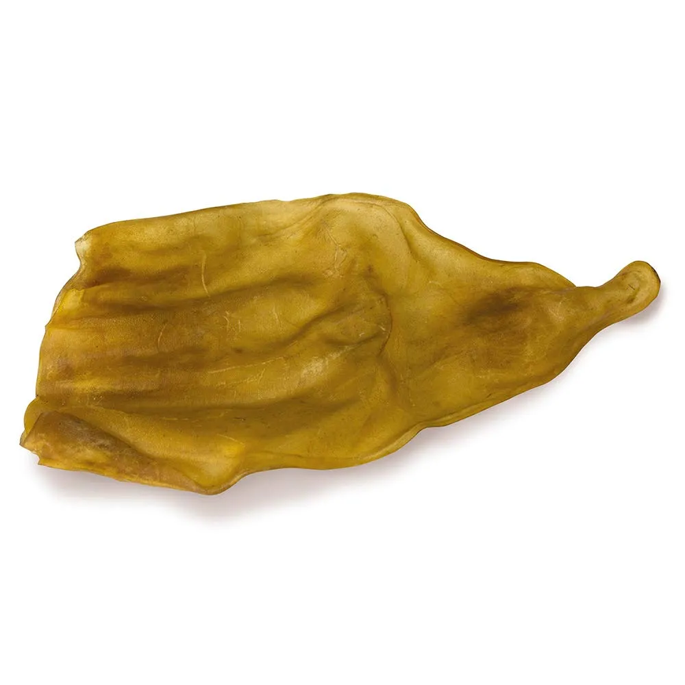 ARQUIVET Orecchie di vitello disidratata - confezzioni 10 unità - Snack 100% naturali per cani - immagine 2