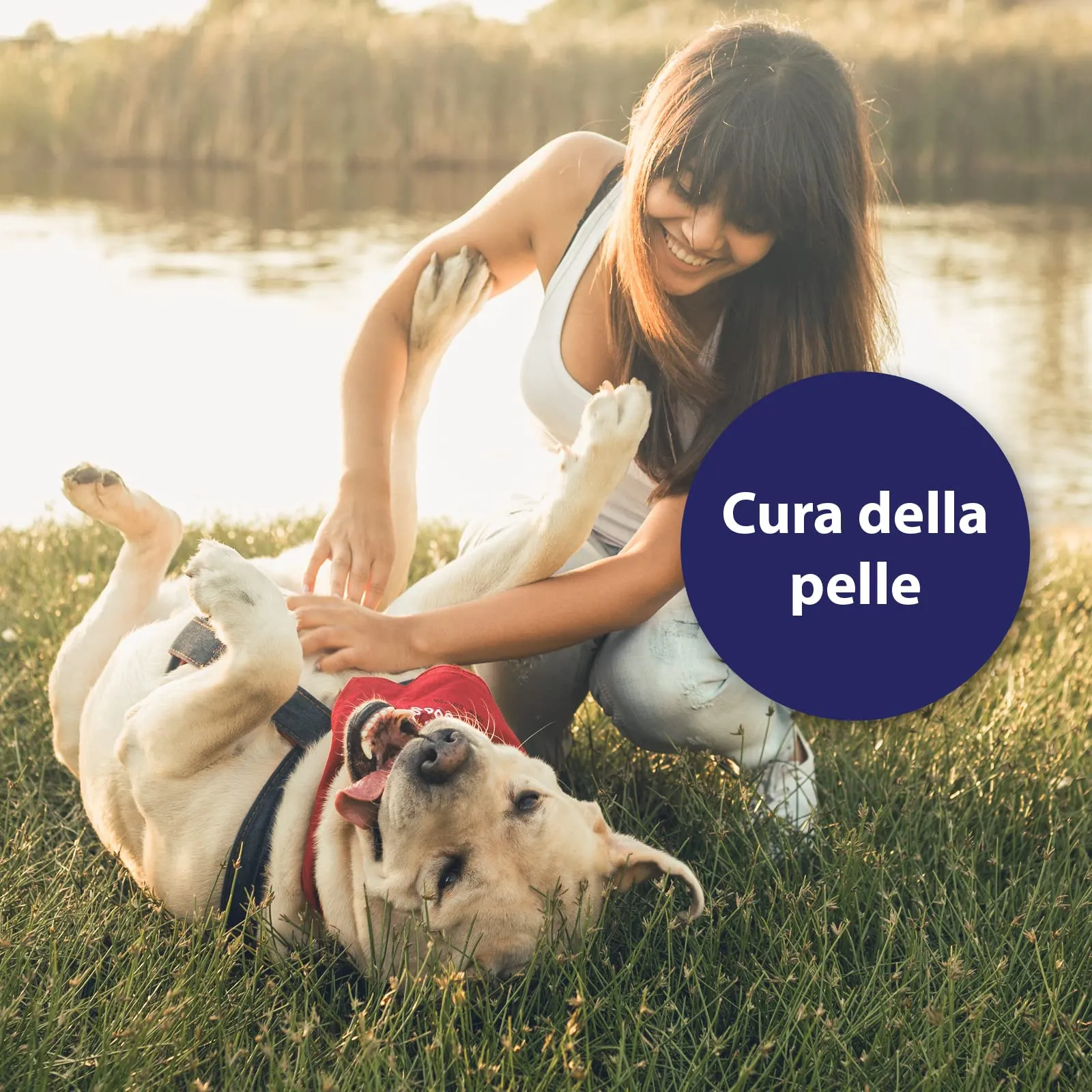 Canosept Spray per la cura della pelle per cani, 250 ml, rigenera e nutre la pelle, naturale e particolarmente delicato - immagine 6