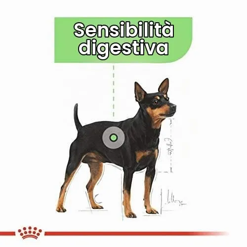 Royal Canin Digestive Care | 12 x 85 g | Cibo umido per cani adulti | A partire dal 10° mese di vita | Adatto per cani con digestione sensibile - immagine 3