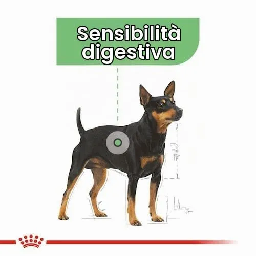 Royal Canin Digestive Care | 12 x 85 g | Cibo umido per cani adulti | A partire dal 10° mese di vita | Adatto per cani con digestione sensibile - immagine 5