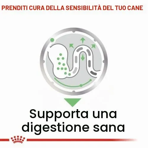 Royal Canin Digestive Care | 12 x 85 g | Cibo umido per cani adulti | A partire dal 10° mese di vita | Adatto per cani con digestione sensibile - immagine 7