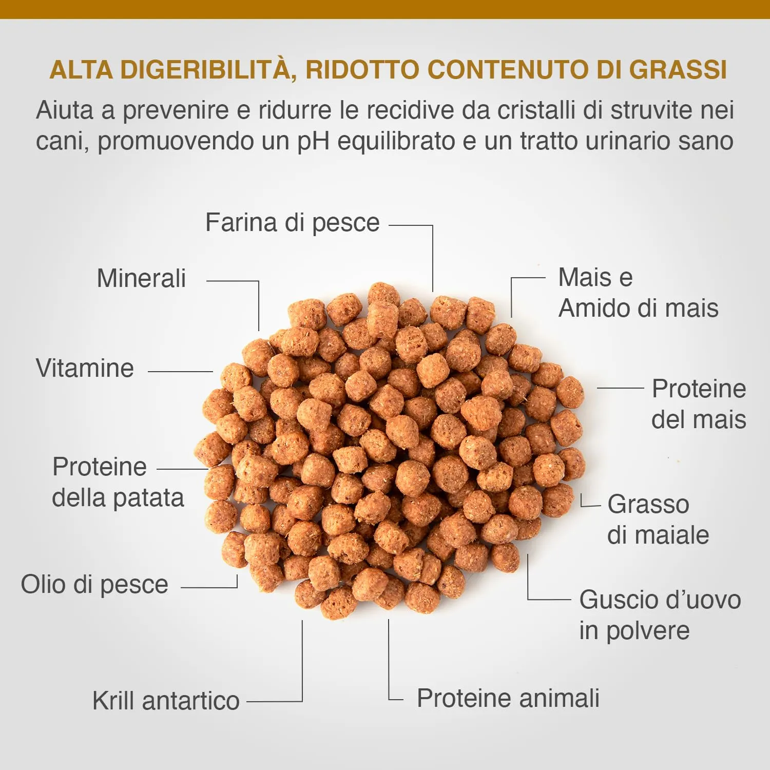 SPECIFIC® Struvite Management (CDD) - 12kg - Crocchette per cani adulti - Prevenzione e scioglimento dei calcoli di struvite - Basso contenuto di magnesio e fosforo - DECHRA Veterinary Products - immagine 3