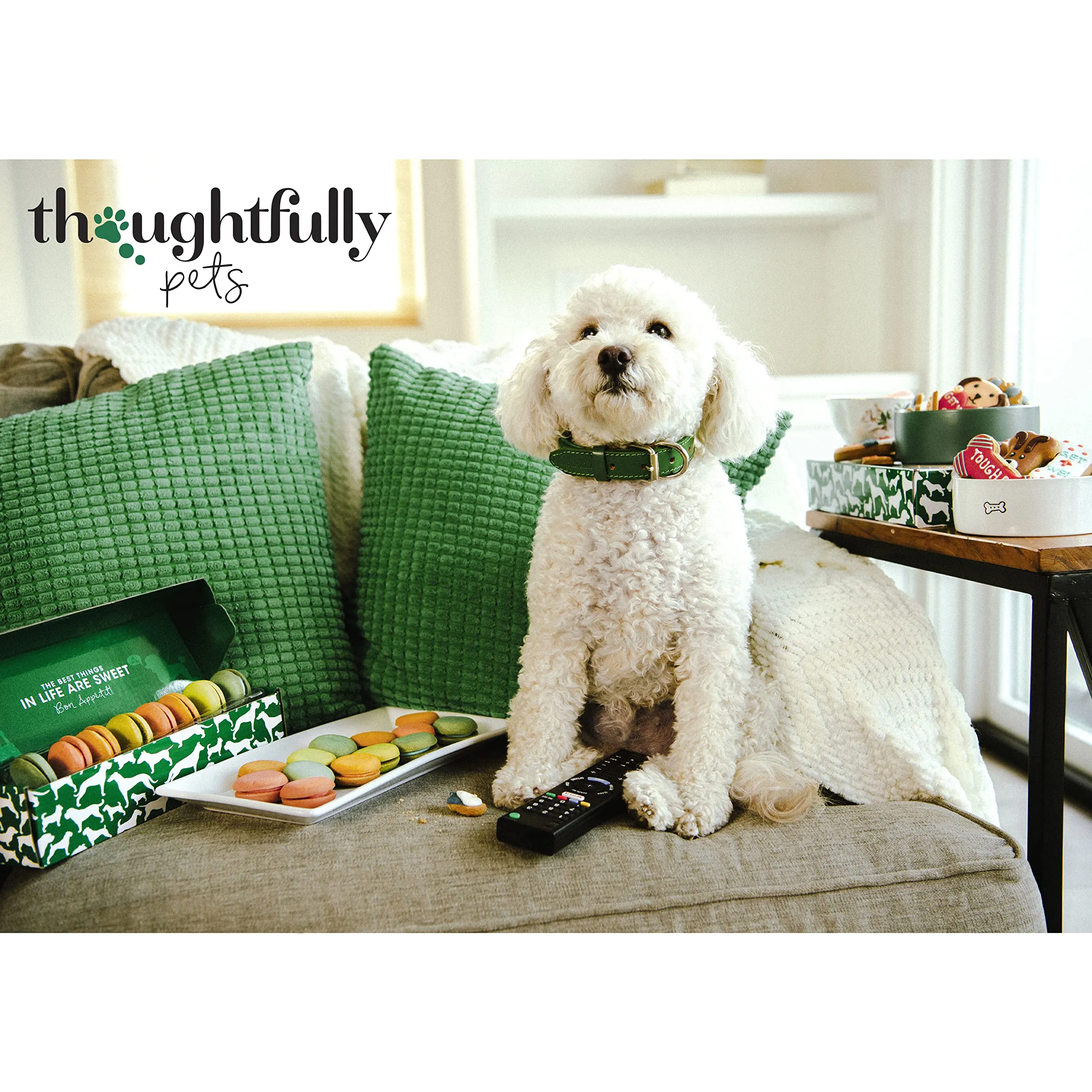 Thoughtfully Pets – Set 8 Biscotti di Compleanno per Cani – Decorati a Mano a Forma di Osso – Azzurro – Regalo Perfetto per Cagnolini – Set da 8 - immagine 3