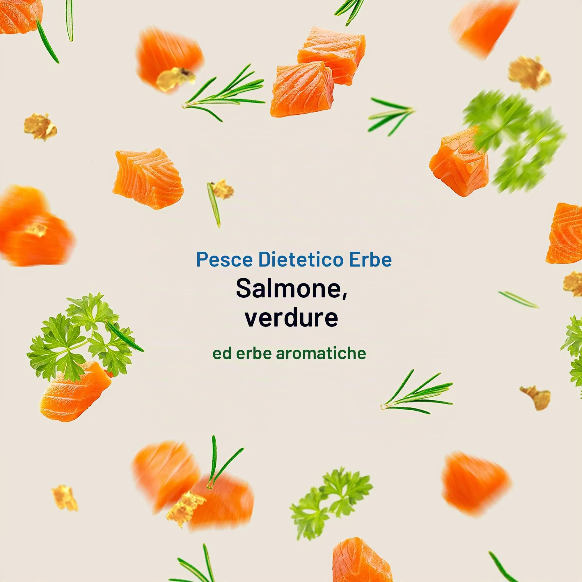 2G Pet Food Diet Fish Herbs Cibo Monoproteico per Cani con Crocchette di solo Salmone ed erbe aromatiche Funzionale, digeribile e naturale Formato 2kg Per tutte le razze ed età Made in Italy - immagine 2