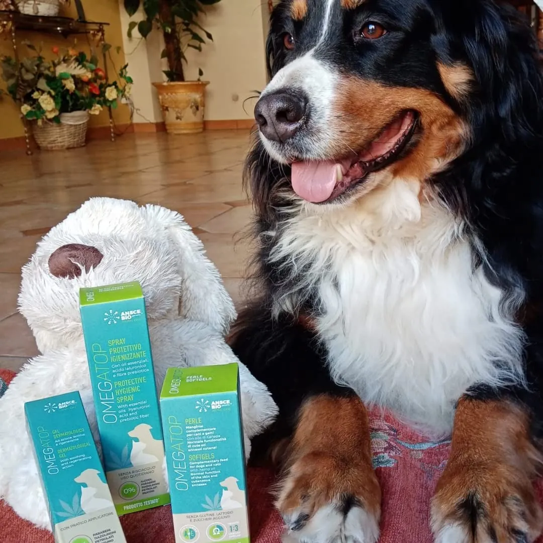 OMEGATOP Mangime Complementare Cani Omega 3-6 per Prurito e Allergie 90 pz - immagine 7