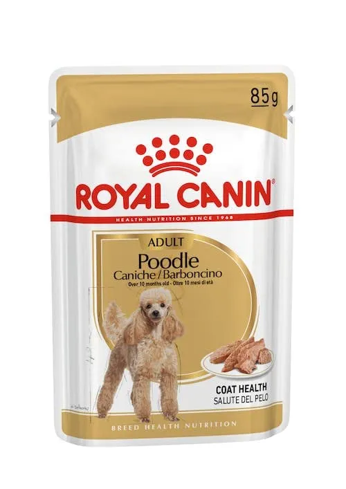 Royal Canin Poodle Adult | Confezione Doppia | 2 x 12 x 85 g | Alimento umido per barboncini adulti | Per sostenere il mantello | Nutrizione quotidiana ottimale | Dal 10° mese di vita - immagine 2