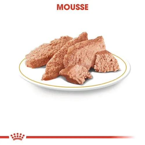 Royal Canin Poodle Adult | Confezione Doppia | 2 x 12 x 85 g | Alimento umido per barboncini adulti | Per sostenere il mantello | Nutrizione quotidiana ottimale | Dal 10° mese di vita - immagine 5