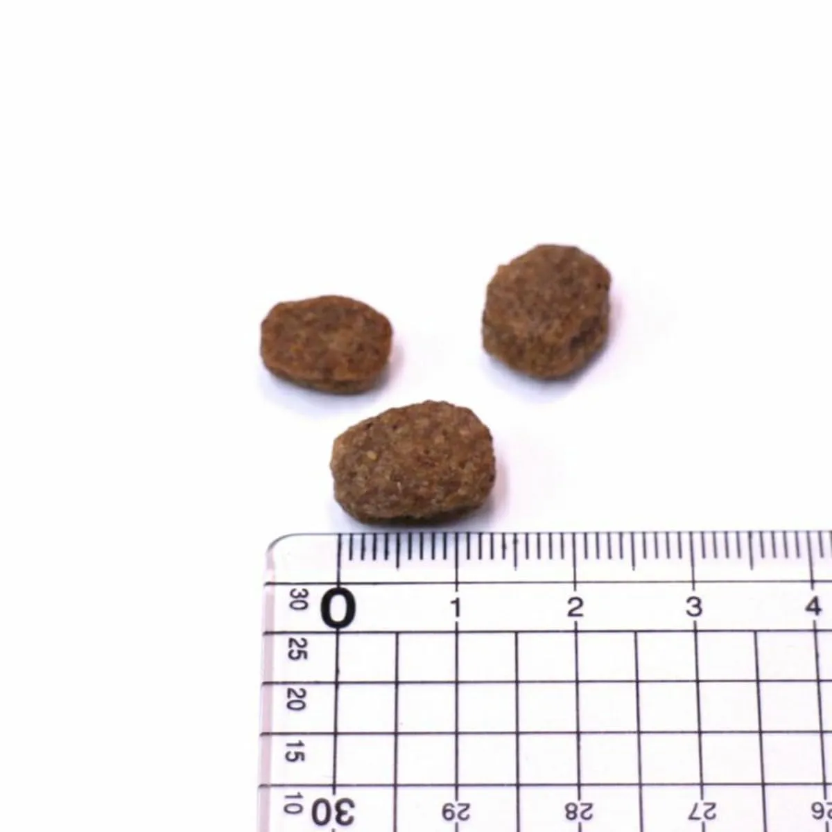 INTEGRA PROTECT cibo per cani Renal (1 x 700 g), consigliato dai veterinari, cibo secco di alta qualità di animonda per cani adulti contro problemi renali (insufficienza renale) - immagine 2