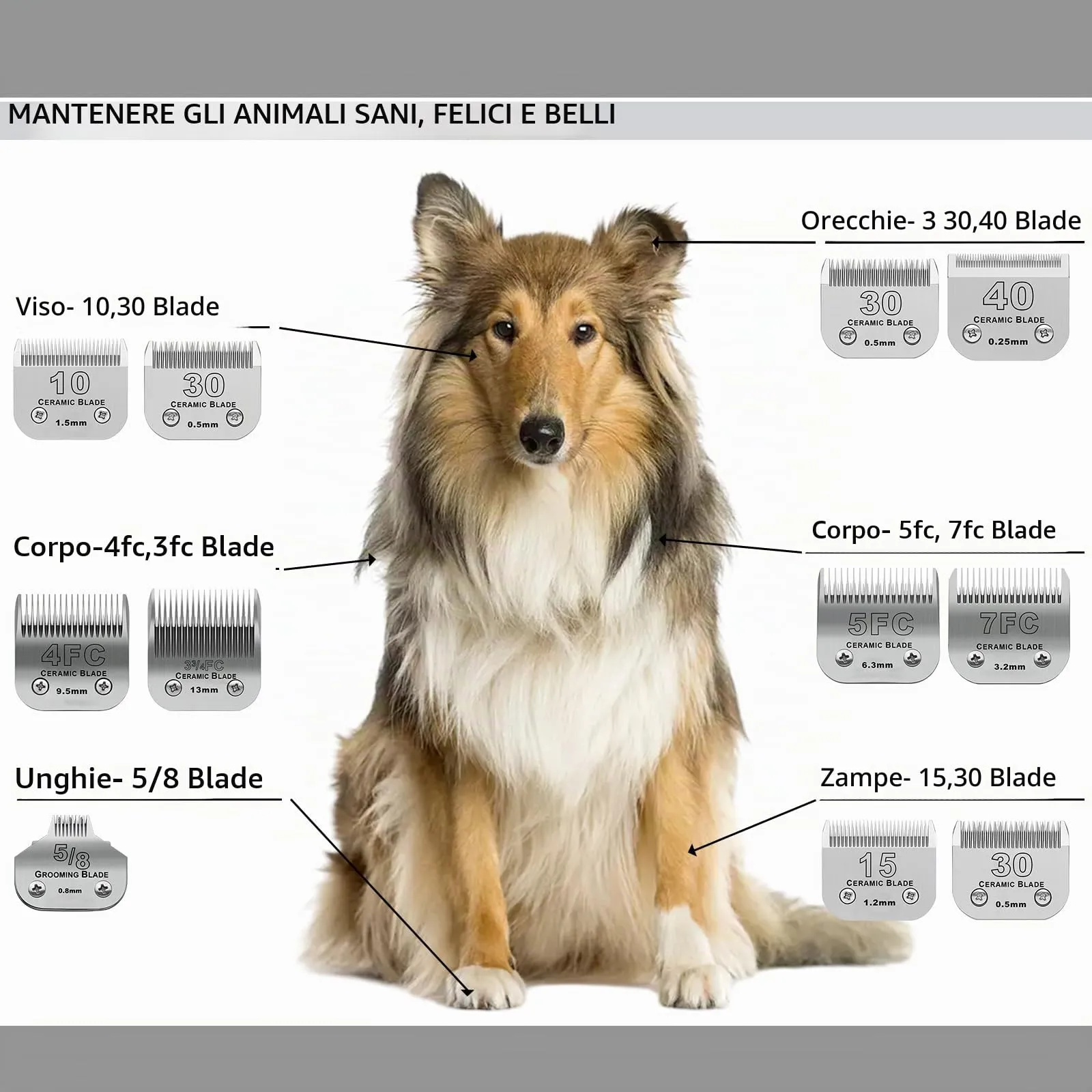 BESTBOMG 3 Pezzi Lama di Ricambio per toelettatura di Cani,Compatibile con Le Serie Heiniger/Moser Max45/Andis/A5,Tosaerba per Cani, Taglia 3,2 mm-9,5 mm.Lunghezza di Taglio - immagine 5