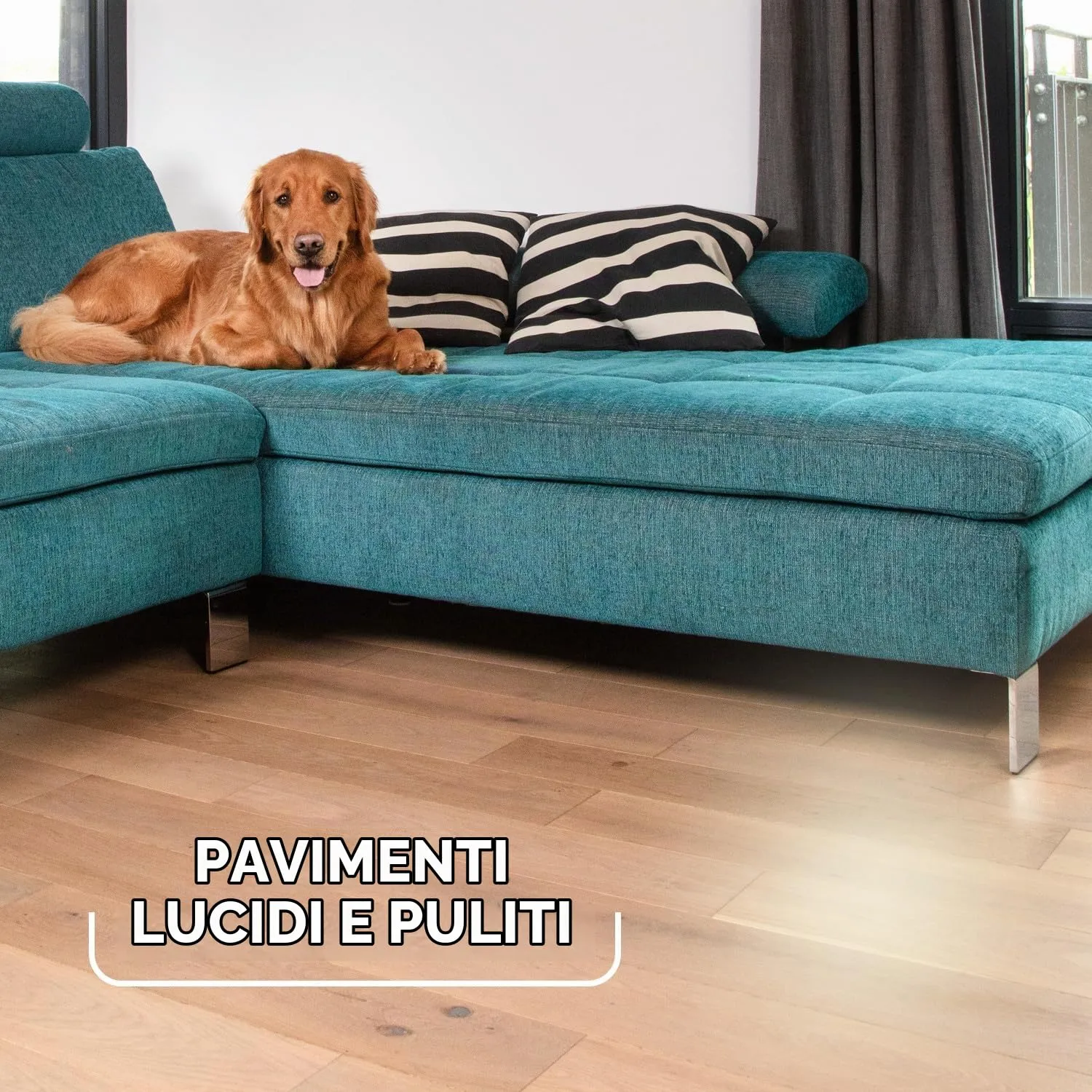 Vileda Pet Pro Always Clean - Scopa in gomma perfetta per rimuovere i peli di animali domestici, attira e raccoglie sporco e peli di animali domestici, sicura ed efficace per tutti i pavimenti, facile - immagine 5