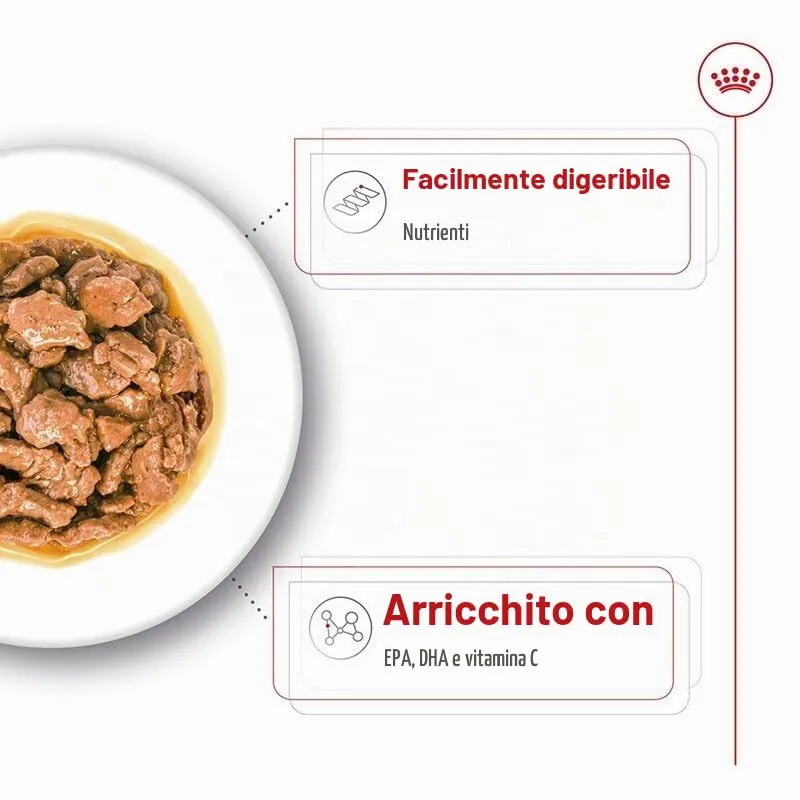 ROYAL CANIN X-Small Adult | Confezione Doppia | 2 x 12 x 85 g | Cibo umido per cani adulti e molto piccoli | A partire dal 10° mese | Con bocconcini in salsa | In buste - immagine 5