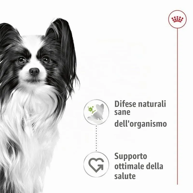 ROYAL CANIN X-Small Adult | Confezione Doppia | 2 x 12 x 85 g | Cibo umido per cani adulti e molto piccoli | A partire dal 10° mese | Con bocconcini in salsa | In buste - immagine 6