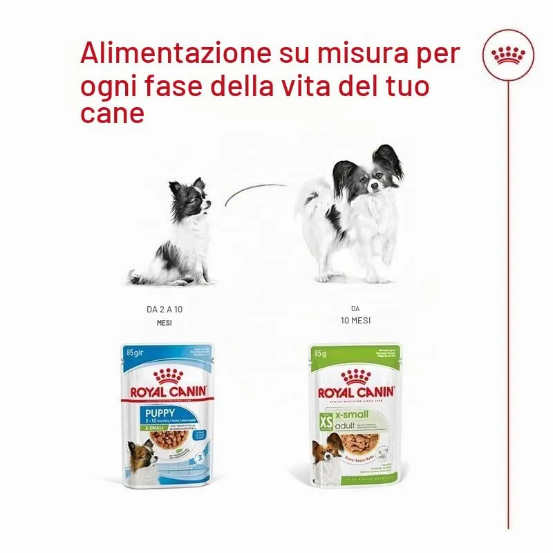 ROYAL CANIN X-Small Adult | Confezione Doppia | 2 x 12 x 85 g | Cibo umido per cani adulti e molto piccoli | A partire dal 10° mese | Con bocconcini in salsa | In buste - immagine 8