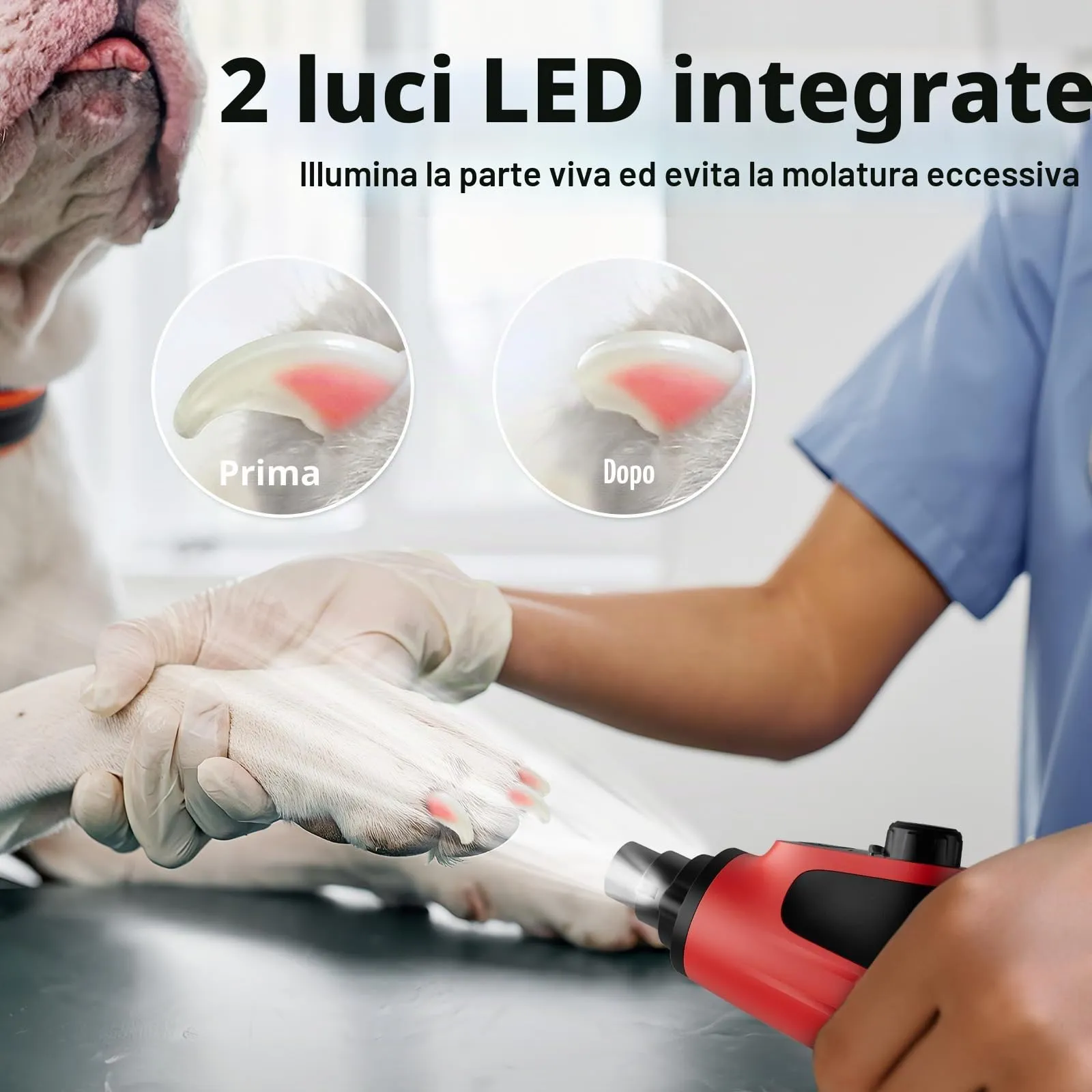 Casfuy Smerigliatrice per unghie intelligente a 6 velocità, 50% in più di potenza per animali domestici, con 2 luci LED, silenzioso, ricaricabile, elettrico, per cani e gatti di taglia grande, media e - immagine 5