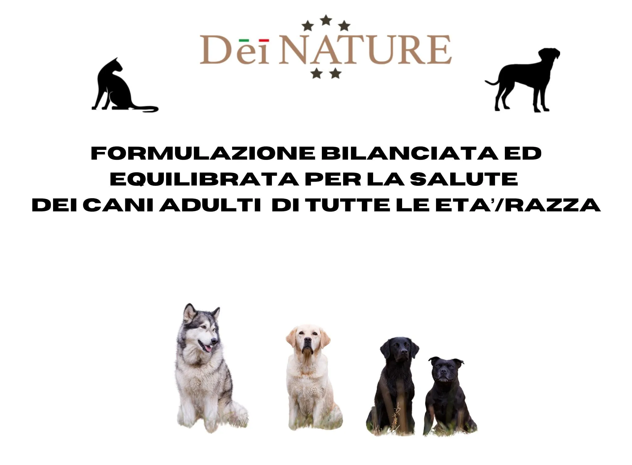 Dei NATURE Crocchette Cani 20 kg Manzo, offerta, alimento secco bilanciato per cani adulti di tutte le razze e taglie, Prodotto Made in Italy con ingredienti selezionati. Prima voce carni - immagine 4