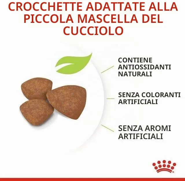 ROYAL CANIN Puppy Mini | Confezione Tripla | 3 x 800 g | Alimento Secco per Cani | Alimento Completo per Cani | per Cuccioli di Piccola Taglia | Fino ai 10 Mesi - immagine 4