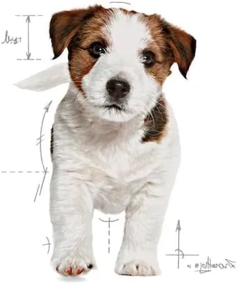 ROYAL CANIN Puppy Mini | Confezione Tripla | 3 x 800 g | Alimento Secco per Cani | Alimento Completo per Cani | per Cuccioli di Piccola Taglia | Fino ai 10 Mesi - immagine 5