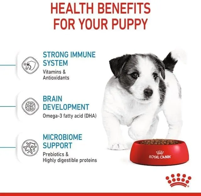 ROYAL CANIN Puppy Mini | Confezione Tripla | 3 x 800 g | Alimento Secco per Cani | Alimento Completo per Cani | per Cuccioli di Piccola Taglia | Fino ai 10 Mesi - immagine 6