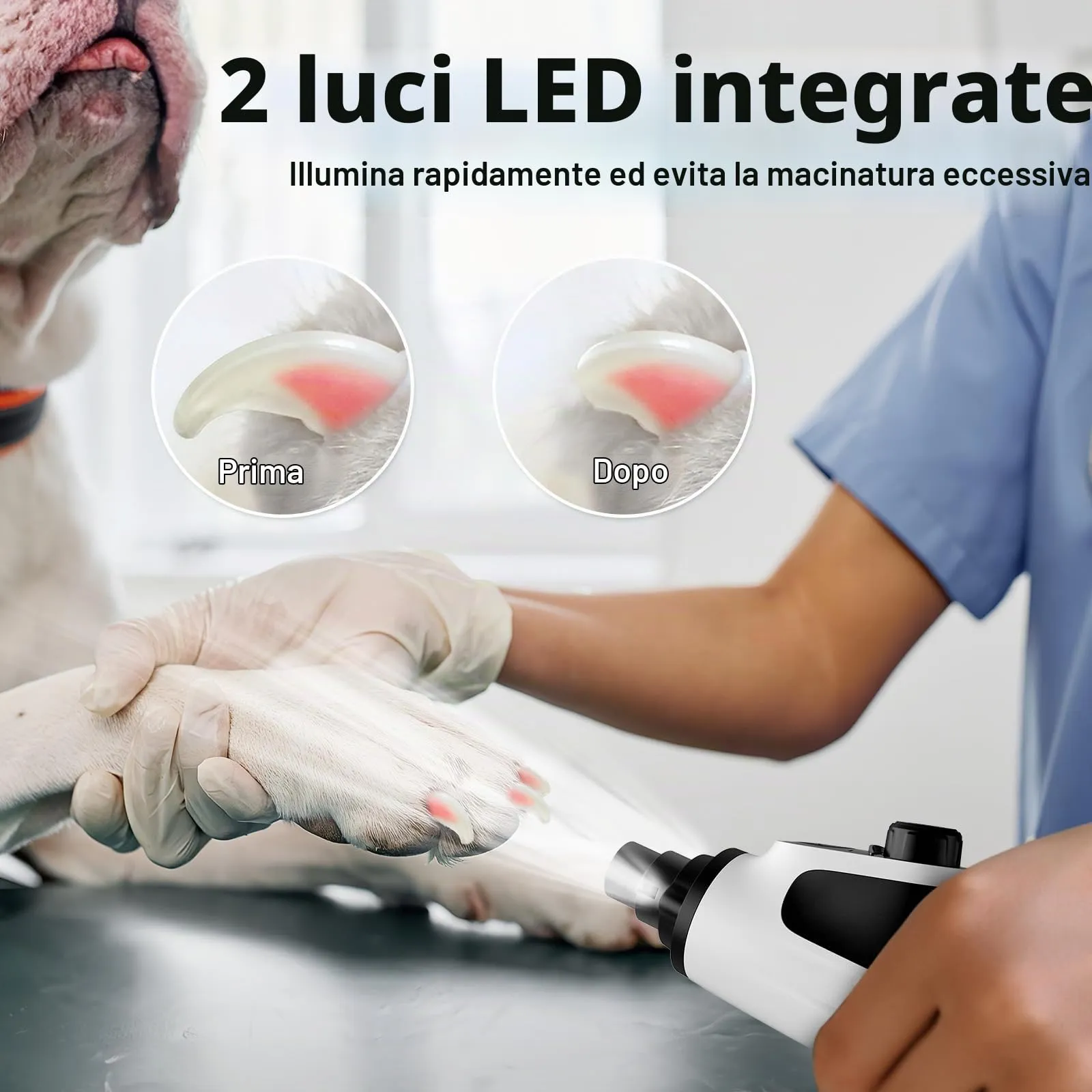 Casfuy Smerigliatrice per unghie intelligente a 6 velocità, 50% in più di potenza per animali domestici, con 2 luci LED, silenzioso, ricaricabile, elettrico, per cani e gatti di taglia grande, media e - immagine 5