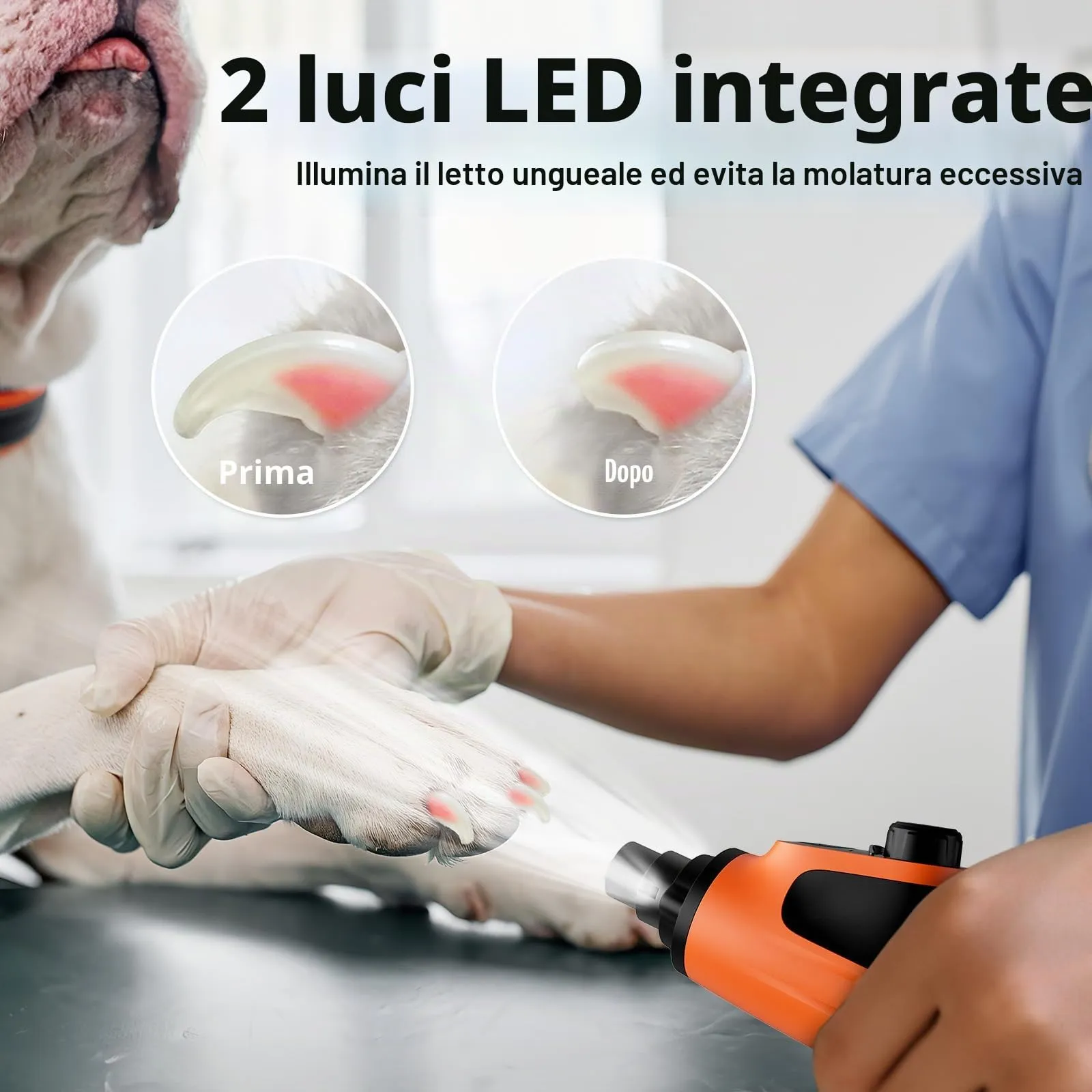 Casfuy Smerigliatrice per unghie intelligente a 6 velocità, 50% in più di potenza per animali domestici, con 2 luci LED, silenzioso, ricaricabile, elettrico, per cani e gatti di taglia grande, media e - immagine 5