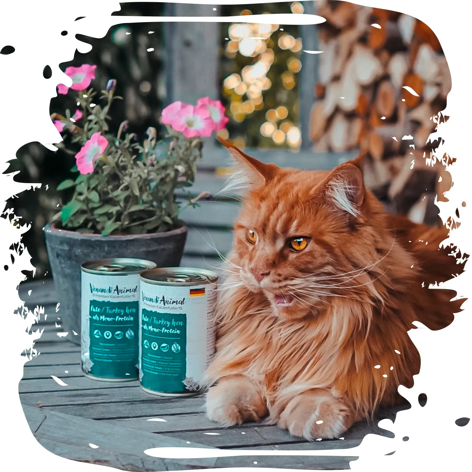 Venandi Animal Mangime per Gatti Premium, Gallina di Tacchino come Mono-Proteina, Senza Cereali - Pacco da 12 x 200 g - immagine 4