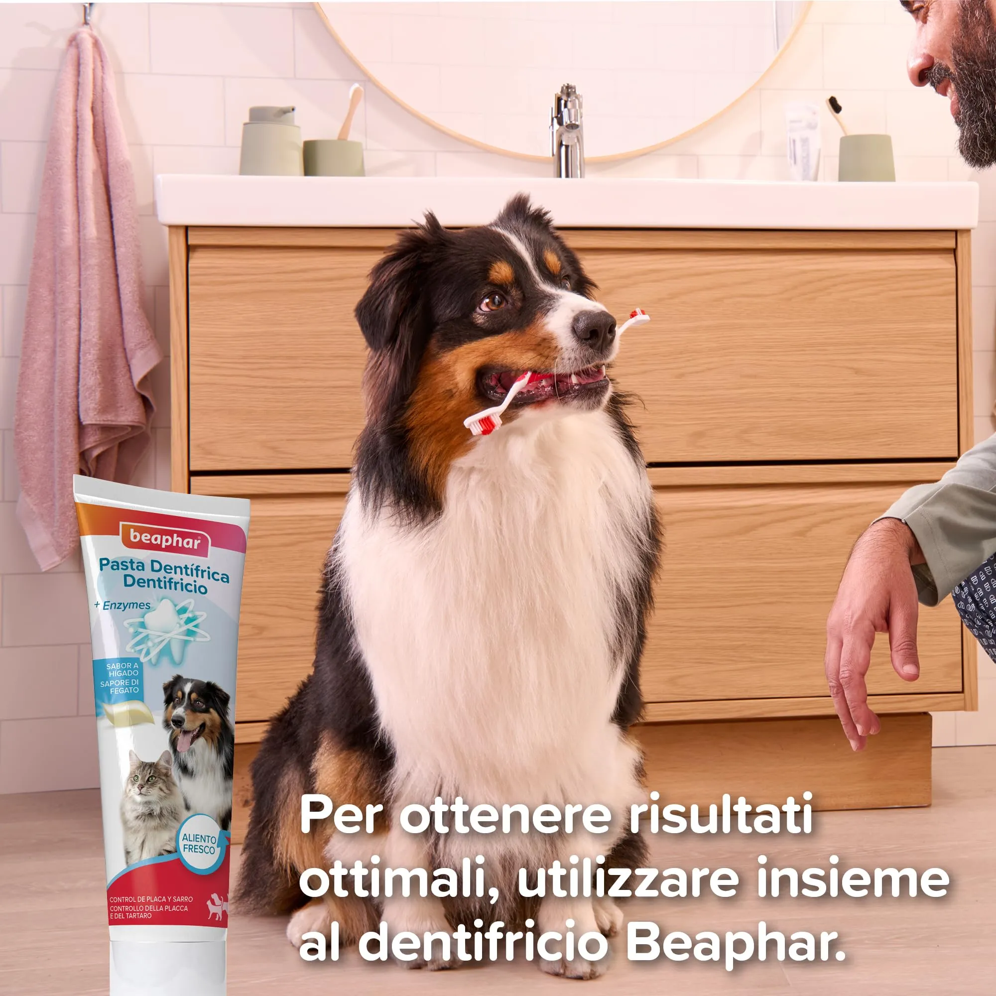 Beaphar, Spazzolino da Dito per Cani e Gatti, Prevenzione della Placca Dentale e dell'Alitosi, Elimina i Residui di Cibo e Riduce i Batteri, Setole Morbide, Facile da Usare - immagine 7