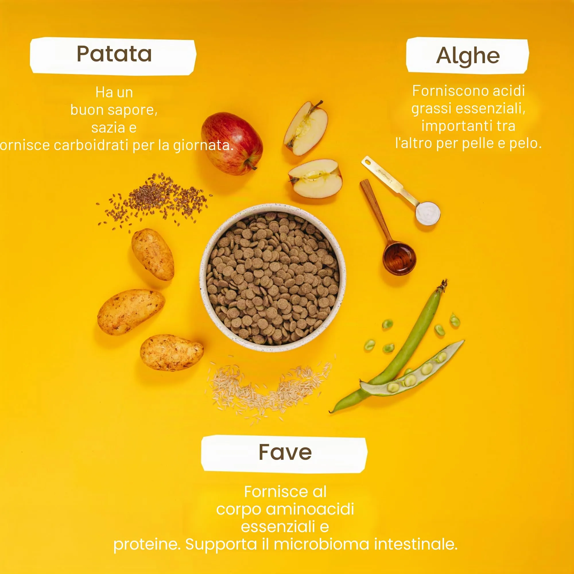 VEGDOG Farmer's Crunch Crocchette Ipoallergeniche (10 kg) | Cani Adulti | Senza Glutine e Soia, Povero di Purine | Alimento Completo per Allergici con Proteine di Patata - immagine 4