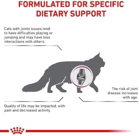 Royal Canin Veterinary Mobility | 2 kg | Cibo secco per gatti | Per favorire la mobilità | Complesso di nutrienti per le articolazioni | Con cozza dalle labbra verdi - immagine 5