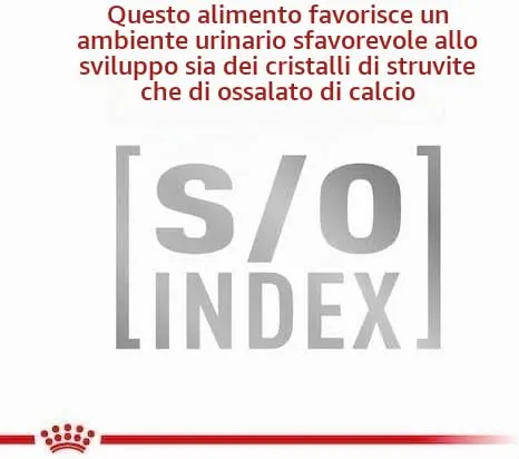 Royal Canin Veterinary Mobility | 2 kg | Cibo secco per gatti | Per favorire la mobilità | Complesso di nutrienti per le articolazioni | Con cozza dalle labbra verdi - immagine 8