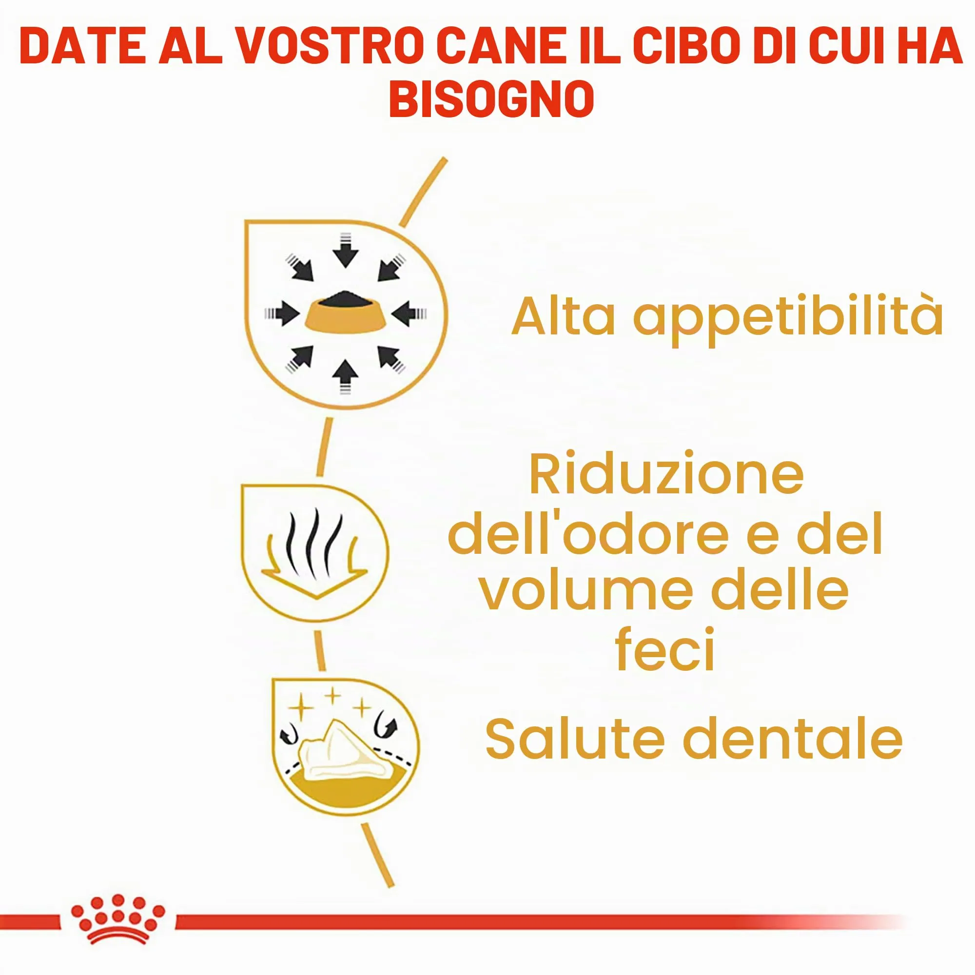 Royal Canin Chihuahua Adult | 3 kg | Alimento secco per chihuahua adulti | Per favorire la qualità delle feci e la salute dentale | Alta accettazione - immagine 6