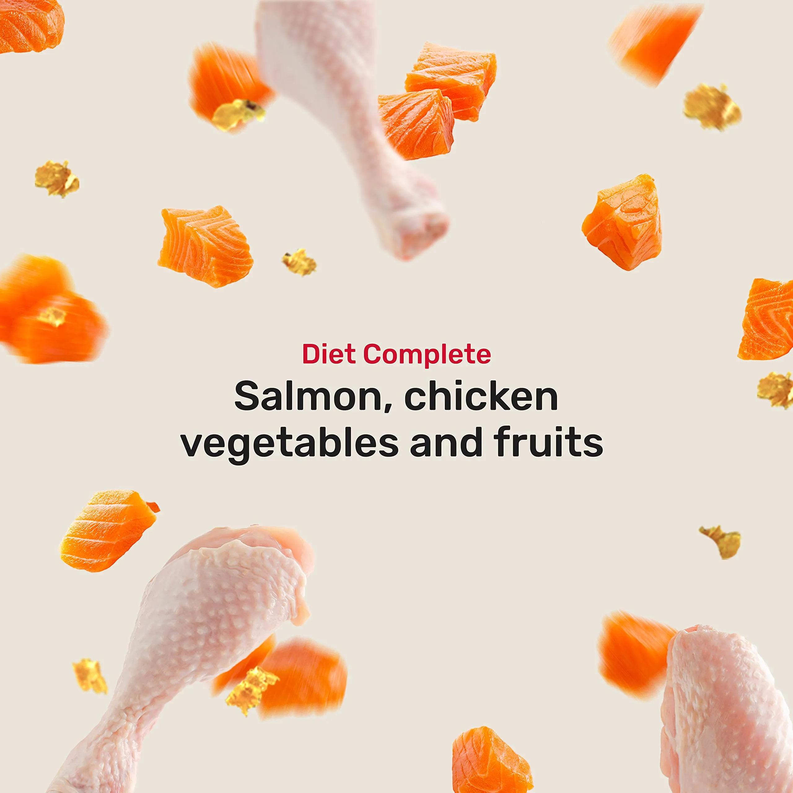 2G Pet Food Diet Complete Alimento Completo per Cani con Pollo e Salmone Pasto completo e bilanciato con cereali, verdure e proteine 350g - immagine 2