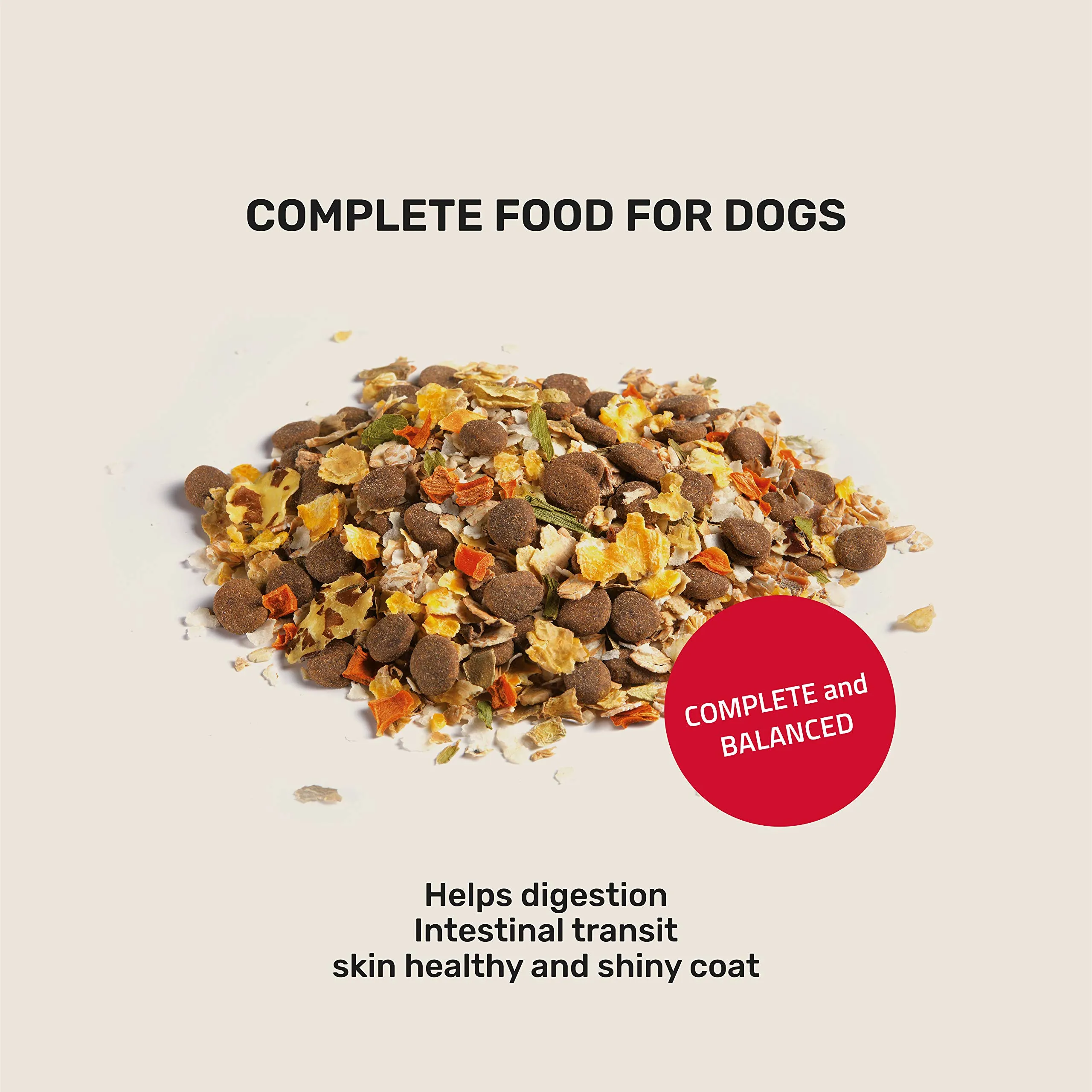 2G Pet Food Diet Complete Alimento Completo per Cani con Pollo e Salmone Pasto completo e bilanciato con cereali, verdure e proteine 350g - immagine 3