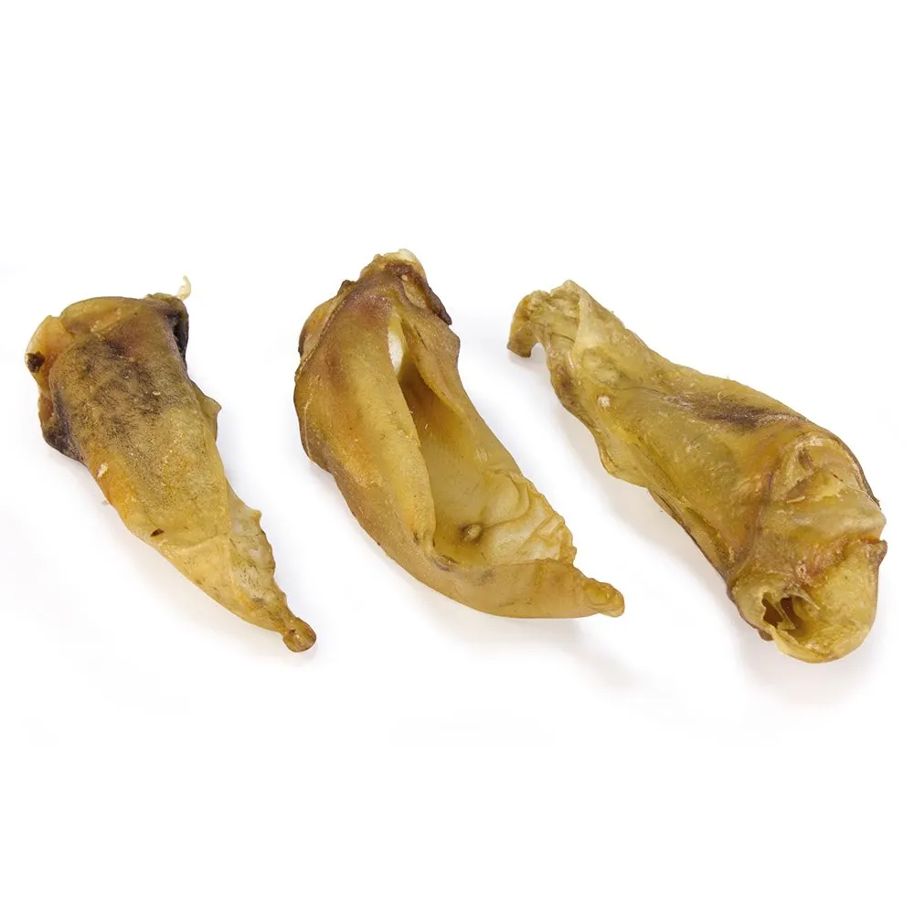 ARQUIVET Orecchio di Agnello per Cani - Sacchetto 100 gr - Snack Naturali per Cani - Masticabile - immagine 2