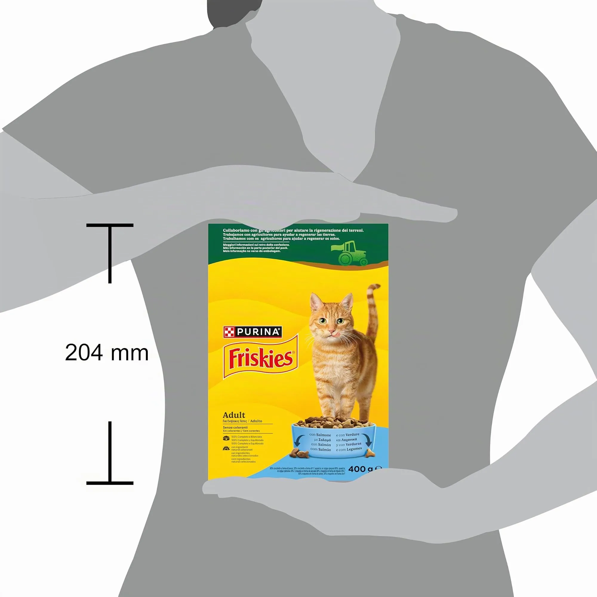 PURINA FRISKIES Adult con Salmone e con Verdure in confezione di cartone in 20 Scatole da 400g - immagine 5