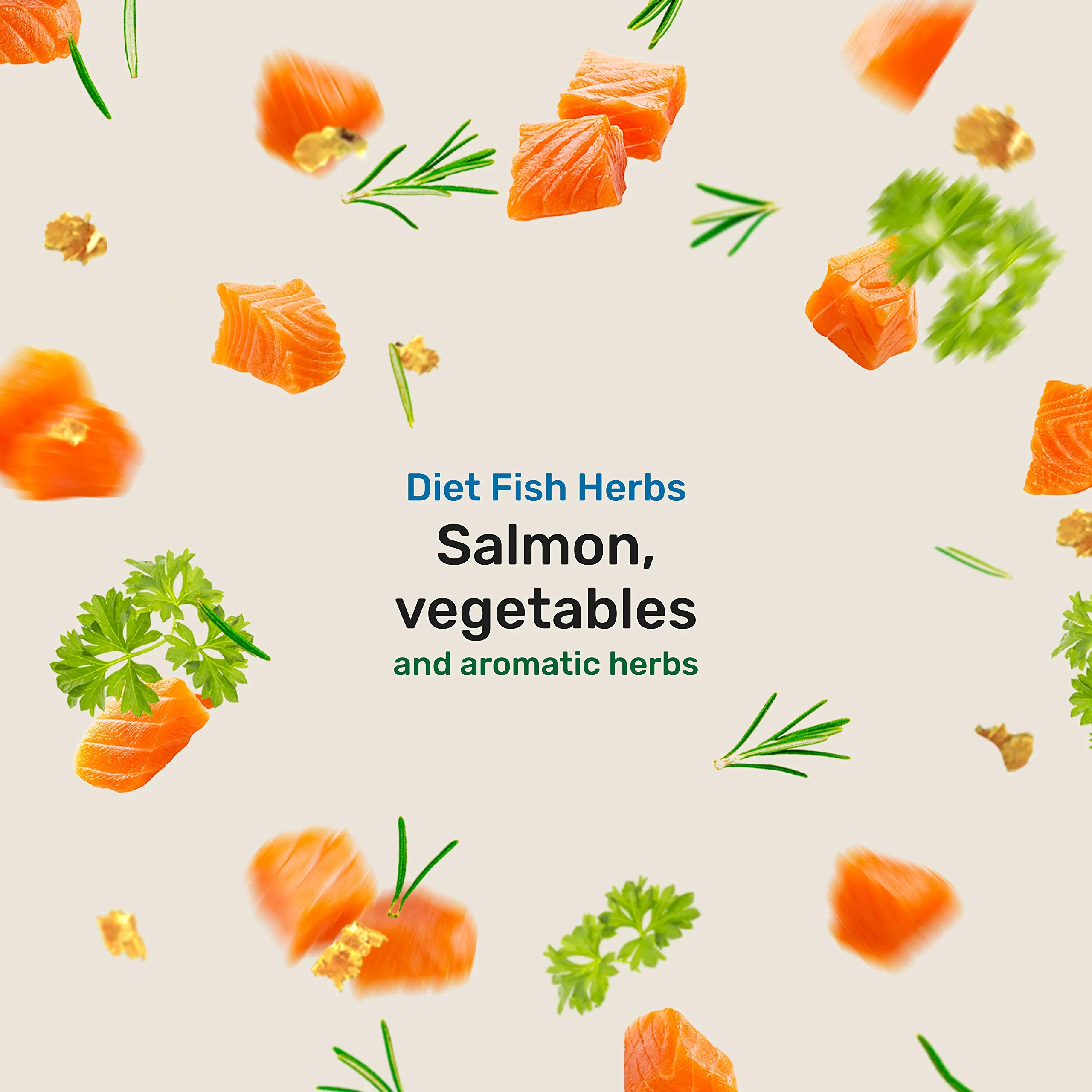 2G Pet Food Diet Fish Herbs Cibo Monoproteico per Cani con Crocchette di solo Salmone ed erbe aromatiche Funzionale, digeribile e naturale Formato 350g Per tutte le razze ed età Made in Italy - immagine 2
